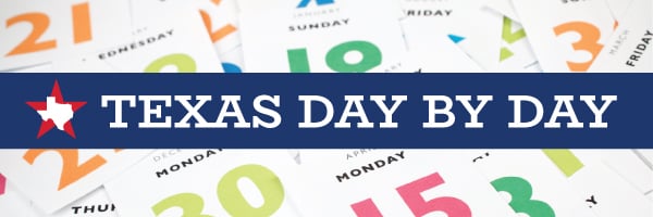 texas day by day logo